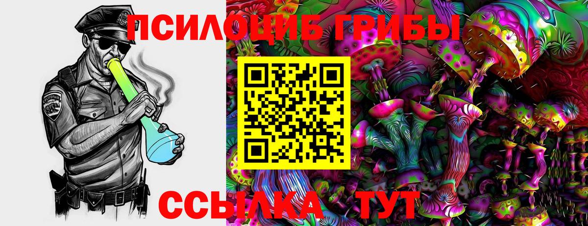 Псилоцибиновые грибы мицелий Кыштым