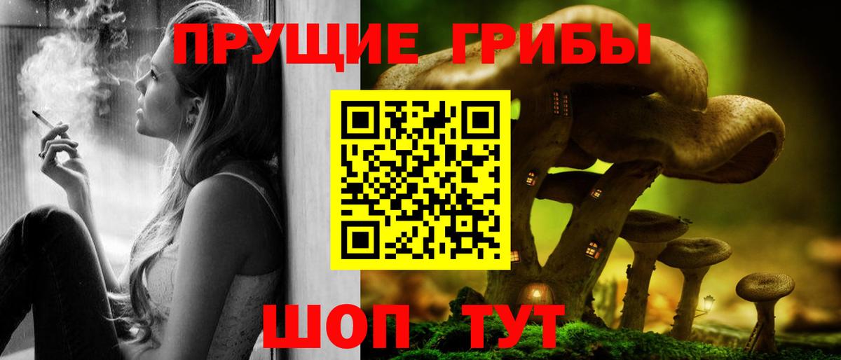 Кыштым  Галлюциногенные грибы Cubensis  Вход с VPN 